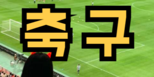 축구 경기를 보러 간 꿈
