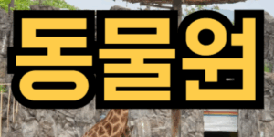 동물원에 간 꿈