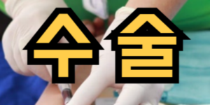 수술하는 꿈