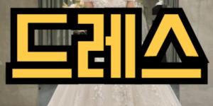 웨딩드레스 입은 꿈