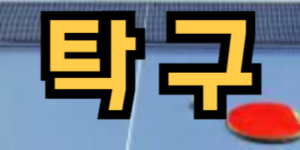탁구 치는 꿈